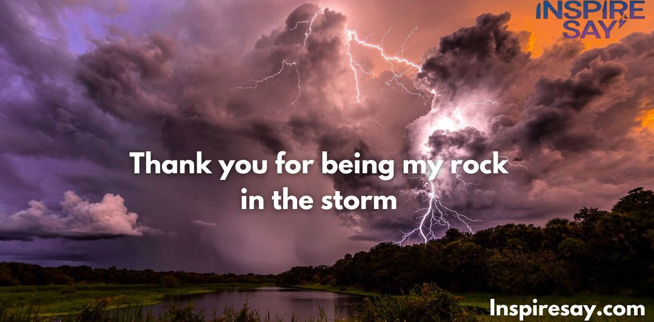 Thank you for being my rock in the storm