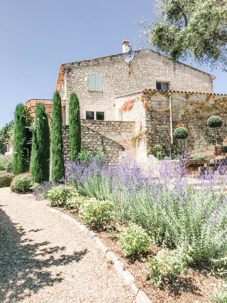 Provence with Madame de la Maison
