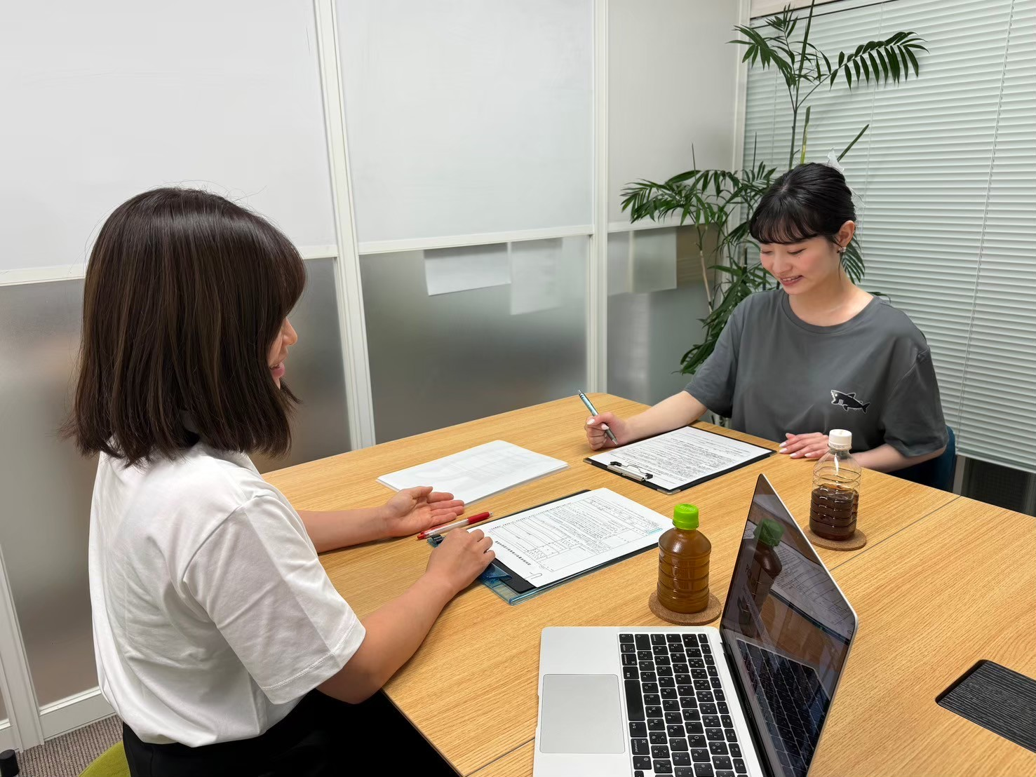 AV女優募集 求人