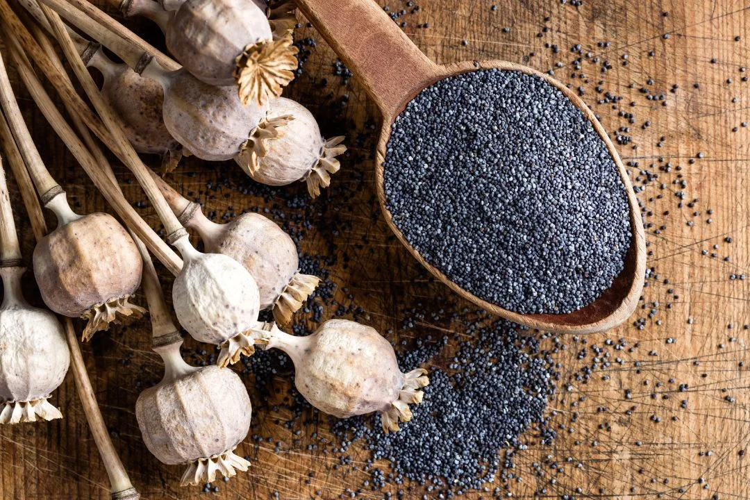 Health Benefits of Poppy Seeds