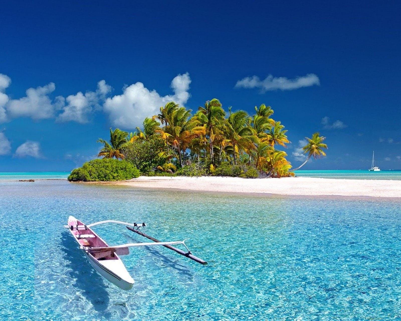 Boat on clear beach water with palm trees in the background.