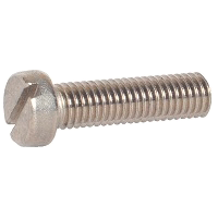 Shop Cheese Head Screws at Olander