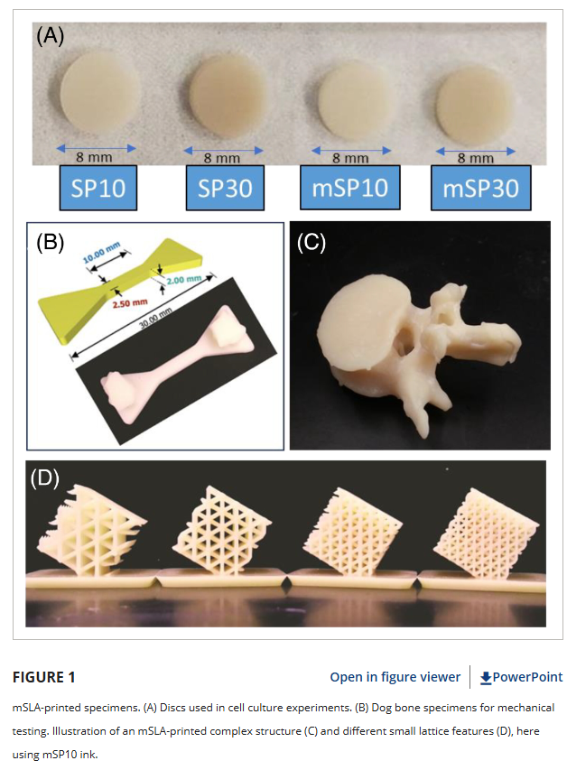 A collage of images of different shapes

Description automatically generated