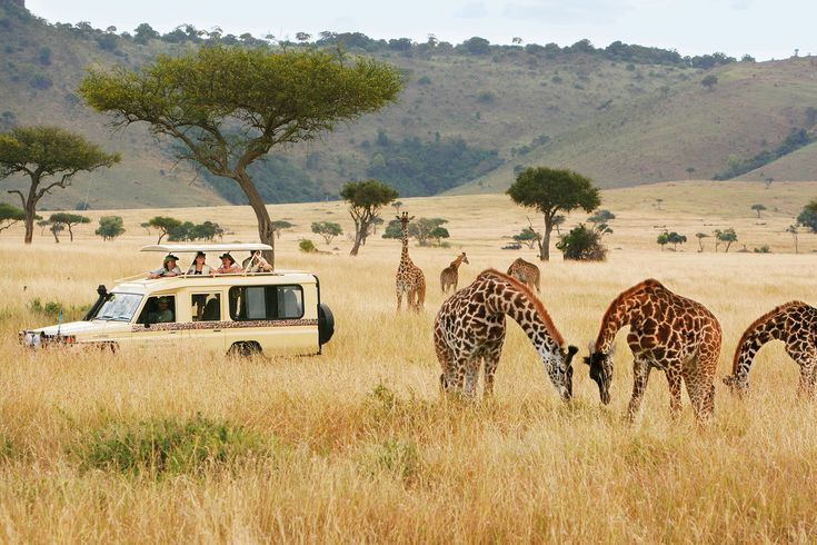 journey to Kenya Nairobi with Pacific tours 