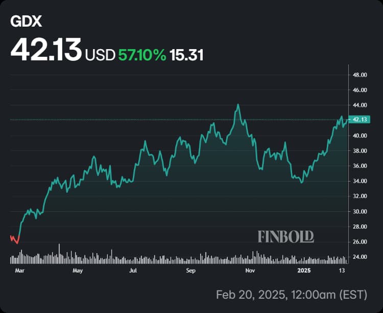 GDX ETF's performance in the last 12 months.