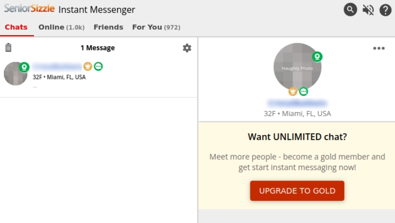 instant messaging feature
