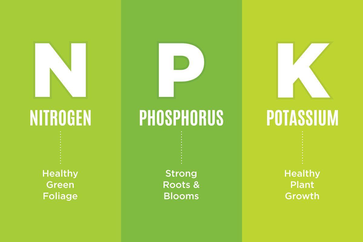 N-P-K Ratio