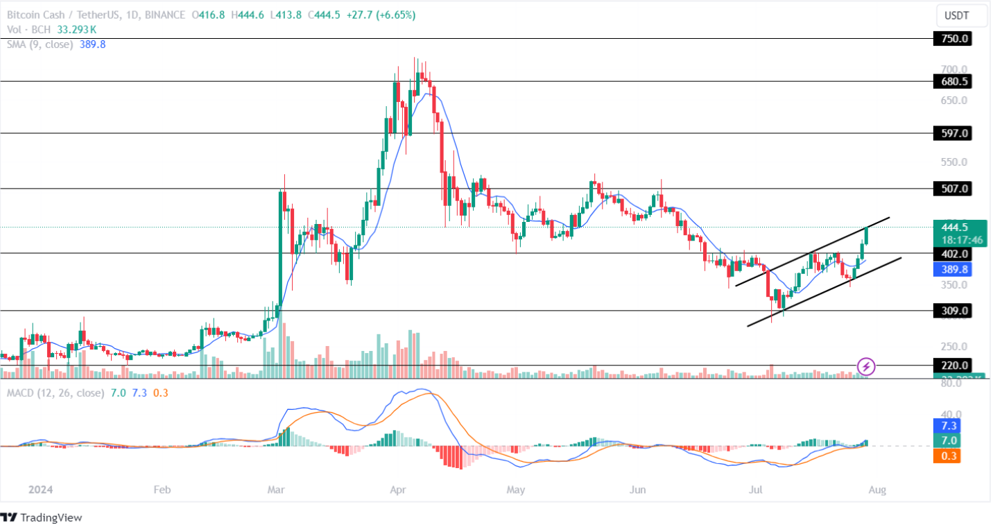 Bitcoin Cash Price Analysis