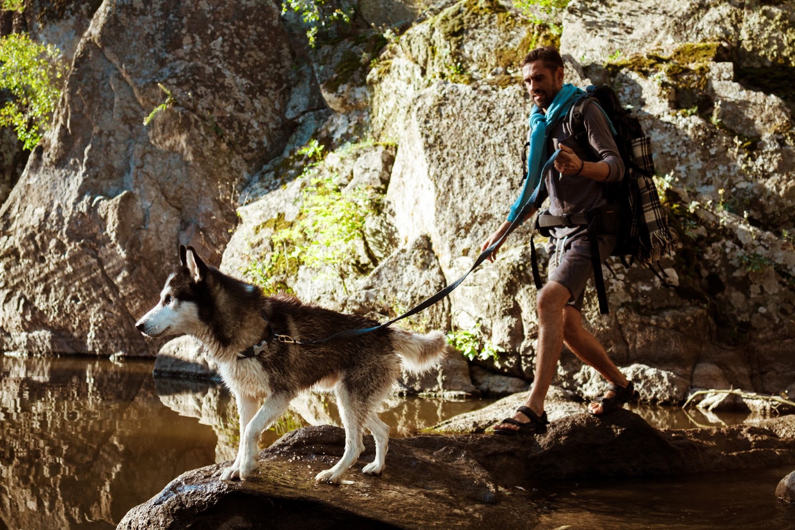 Randonnée avec chien en laisse près d’un point d’eau à Val-David