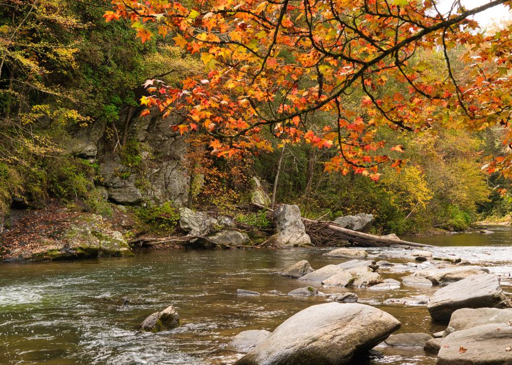 Autumn landscape in Sumter National Forest.