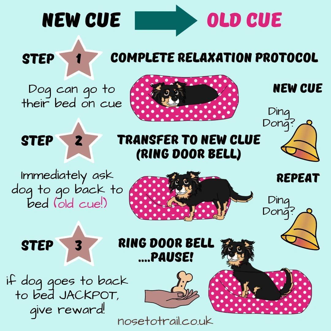 infographic showing how to train your dog not to bark at the doorbell