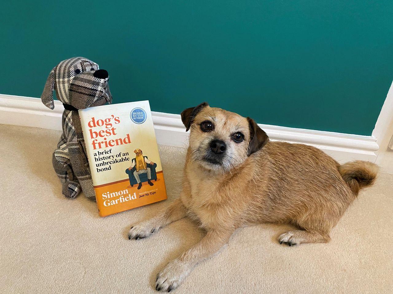 a jack russell cross pug lying next to the book a dogs best friend