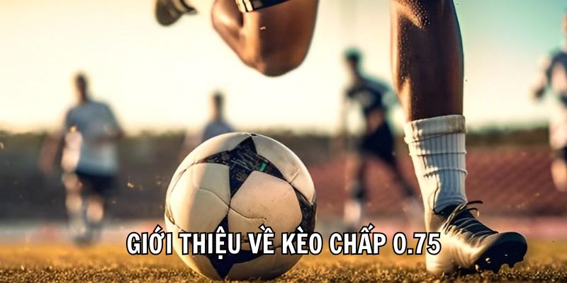 Giới thiệu về kèo chấp 0.75