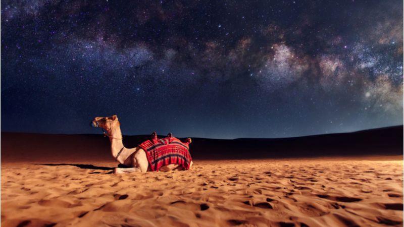 C:\Users\786\Desktop\Overnight-Desert-Safari.jpg