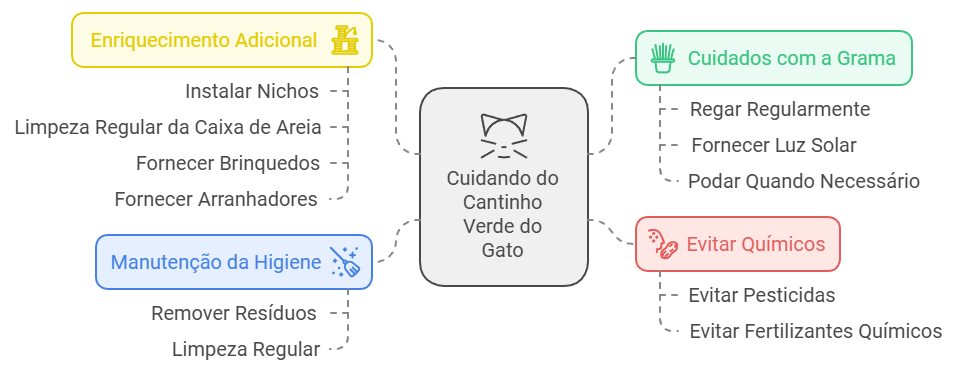 infográfico Cuidados essenciais com o cantinho verde do seu gato