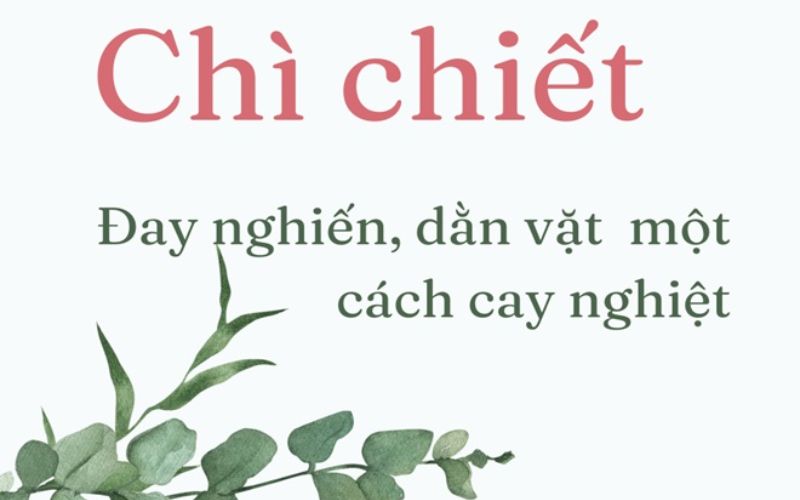 Chì chiết hay trì triết - Bạn có đang dùng từ đúng chưa?-2