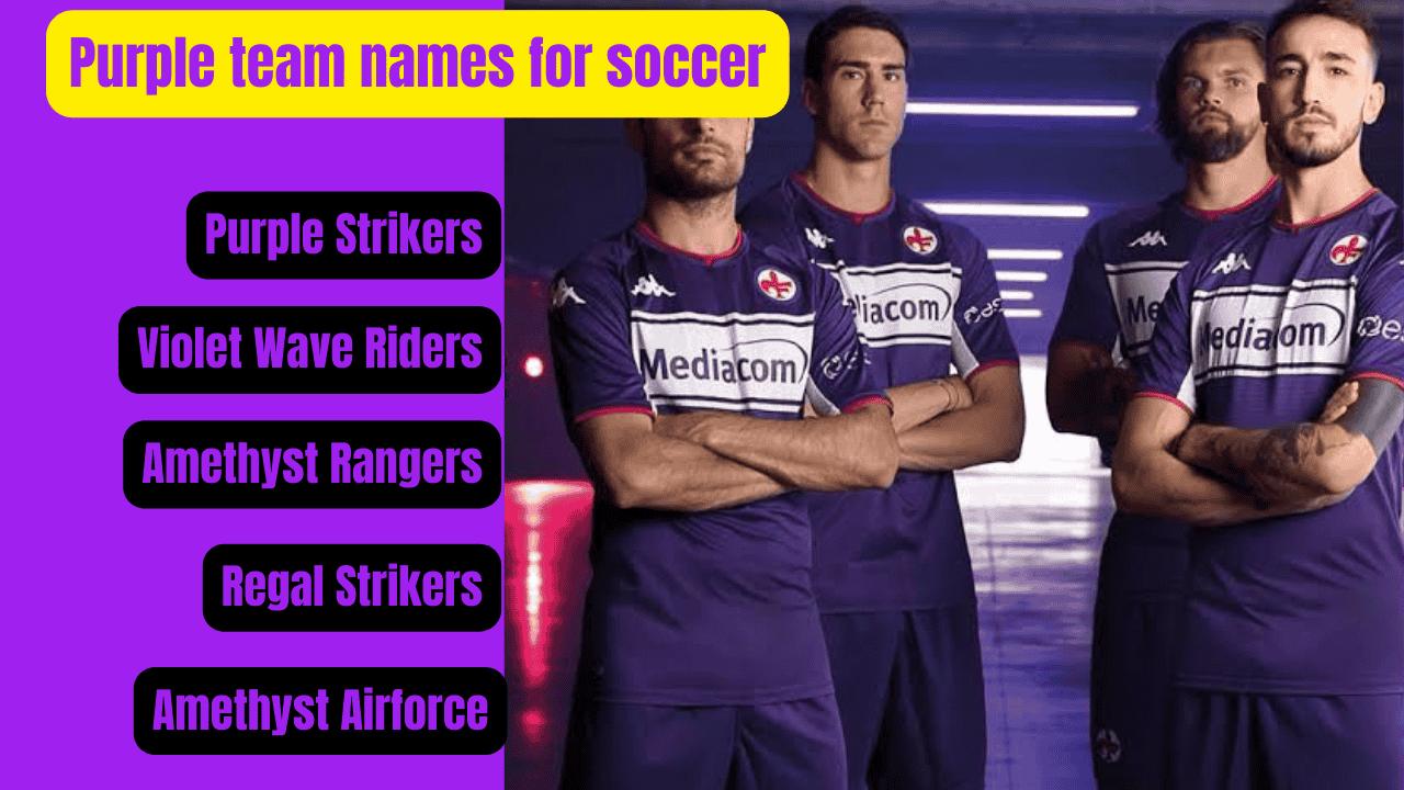 Purple team names for soccer