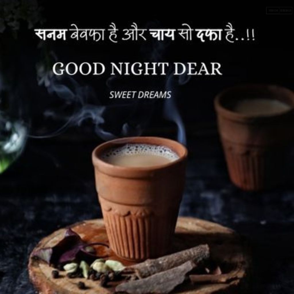 Good Night Quotes in Hindi [HD Photos] | शुभ रात्रि सुविचार