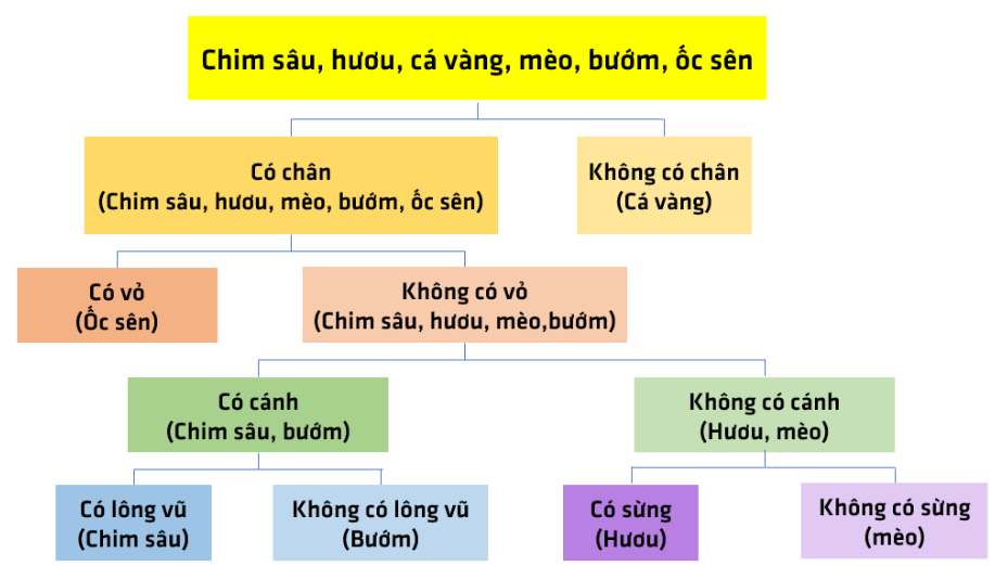 BÀI 34: TÌM HIỂU SINH VẬT NGOÀI THIÊN NHIÊNBÁO CÁO THỰC HÀNH