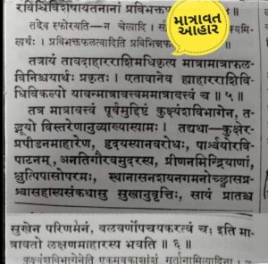 Health Immunity Antibodies Ayurveda Lifestyle 