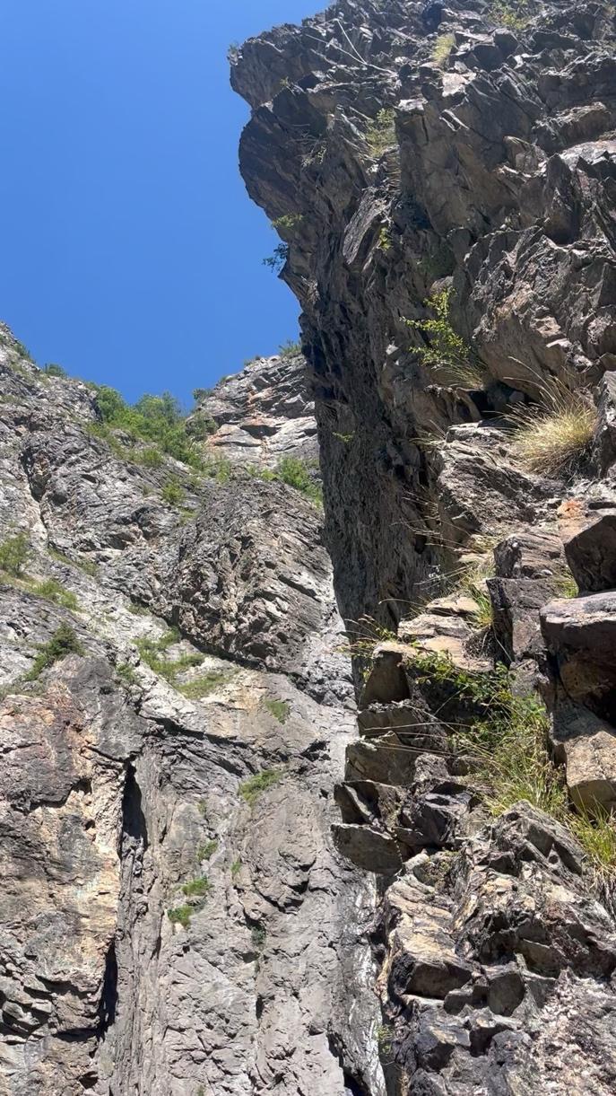 A rocky cliff with plants on itAI-generated content may be incorrect.