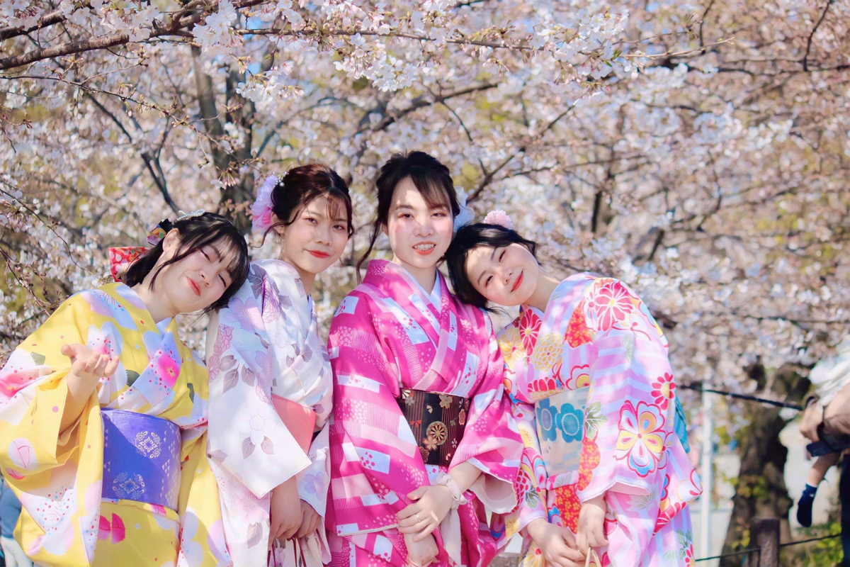 Pink kimono with cherry blossom photography