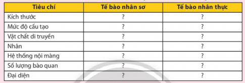 BÀI 9 - TẾ BÀO NHÂN THỰCMỞ ĐẦUCâu 1: Ở người, khi bị thương, người ta thường sát trùng vết thương bằng nước oxy già. Hình 9.1 cho thấy hiện tượng xảy ra khi nhỏ oxy già lên vết thương. Nguyên nhân nào dẫn đến hiện tượng này?Đáp án chuẩn:Khi oxy già tiếp xúc với enzyme catalase trong tế bào, sẽ giải phóng O2 và tạo ra hiện tượng sủi bọt trên vết thương.A. ĐẶC ĐIỂM CHUNG CỦA TẾ BÀO NHÂN THỰCCâu 1: Tên gọi tế bào nhân thực xuất phát từ đặc điểm nào của tế bào?Đáp án chuẩn:- Do tế bào này đã có nhân hoàn chỉnh, được bao bọc bởi màng nhân.Câu 2: Dựa vào Hình 9.2, hãy lập bảng so sánh cấu tạo tế bào thực vật và động vật. Đáp án chuẩn:- Giống: Đều là tế bào nhân thựcĐều có 3 thành phần chính: màng sinh chất, tế bào chất và nhânĐều có các bào quan: riboxom, lysoxom, ti thể, lưới nội chất, lưới nội chất trơn, không bào, peroxixom,...- Khác:Tế bào động vậtTế bào thực vậtKhông có thành tế bào bao quanhCó thành tế bào bao quanhKhông có lục lạpCó lục lạpcó trung tửKhông có trung tửKhông bào nhỏKhông bào lớnB. CÂU TẠO TẾ BÀO NHÂN THỰCI. NHÂN TẾ BÀOCâu 3: Dựa vào Hình 9.3, hãy cho biết:a) Các đặc điểm của màng nhân.b) Vai trò của lỗ màng nhân.c) Những thành phần bên trong nhân tế bào.Đáp án chuẩn:a) Màng nhân gồm hai lớp (màng trong và màng ngoài), có ribosome đính và các lỗ nhỏ gọi là lỗ màng nhân.b) Lỗ màng nhân thực hiện trao đổi chất giữa nhân và tế bào chất.c) Bên trong nhân tế bào có dịch nhân, nhân con và chất nhiễm sắc.Luyện tập: Loại bỏ nhân của tế bào trứng thuộc cá thể A (a), sau đó, chuyển nhân từ tế bào soma của cá thể B (b) vào. Nuôi cấy tế bào chuyển nhân cho phát triển thành cơ thể mới. Cơ thể này mang phần lớn đặc điểm của cá thể nào? Tại sao?Đáp án chuẩn:Cơ thể này mang đặc điểm chủ yếu của cá thể B do có nhân của cá thể B ban đầu, từ đó mang các thông tin di truyền của cá thể B.II. TẾ BÀO CHẤT1. Bào tương2. RibosomeCâu 4: Dựa vào kiến thức đã học, hãy cho biết chức năng của ribosome trong tế bào.Đáp án chuẩn:Ribosome gồm hai tiểu phần lớn và bé, được cấu tạo từ rRNA và protein. rRNA là khuôn tổng hợp protein cho tế bào, và các tiểu phần này đóng vai trò quan trọng trong quá trình tổng hợp protein.Luyện tập: Cho biết cơ sở khoa học của việc sử dụng thuốc kháng sinh ức chế hoạt động của ribosome để tiêu diệt một số loài vi khuẩn có hại kí sinh trong cơ thể người.Đáp án chuẩn:Các kháng sinh ức chế hoạt động của ribosome gắn lên ribosome 70S của vi khuẩn, ngăn cản quá trình giải mã di truyền và dẫn đến ức chế tổng hợp protein của vi khuẩn.3. Lưới nội chấtCâu 5:  Quan sát Hình 9.6, hãy cho biết hai loại lưới nội chất có đặc điểm gì khác nhau.Đáp án chuẩn:Sự khác nhau giữa lưới nội chất hạt và lưới nội chất trơn như sau:- Lưới nội chất hạt: Bao gồm các túi dẹp xếp song song thành nhóm. Mặt ngoài màng có đính các hạt ribosome.- Lưới nội chất trơn: Bao gồm các ống thông với nhau tạo thành nhóm. Mặt ngoài màng không có hạt ribosome.Câu 6: Cho biết các loại tế bào sau đây có dạng lưới nội chất nào phát triển mạnh: tế bào gan, tế bào tuyến tụy, tế bào bạch cầu. Giải thích.Đáp án chuẩn:- Tế bào gan: Lưới nội chất trơn phát triển hơn để chuyển hóa đường và giải độc cho cơ thể, vì gan có vai trò quan trọng trong quá trình chuyển hóa và khử độc.- Tế bào tuyến tụy: Lưới nội chất hạt phát triển hơn để sản xuất các enzyme tiêu hóa, vì tuyến tụy tiết ra các enzyme này để hỗ trợ quá trình tiêu hóa.- Tế bào bạch cầu: Lưới nội chất hạt phát triển hơn để sản xuất kháng thể, chất truyền tin hóa học và enzyme, giúp bạch cầu tiêu diệt các tác nhân gây bệnh.Luyện tập: Những người thường xuyên uống nhiều rượu, bia sẽ có loại lưới nội chất nào phát triển? Tại sao?Đáp án chuẩn:Người uống nhiều rượu, bia phải thực hiện quá trình chuyển hóa và thải độc ở gan nhiều hơn, do đó cần sự phát triển của lưới nội chất trơn để hỗ trợ chuyển hóa và giải độc cho tế bào.4. Bộ máy GolgiCâu 7: Dựa vào Hình 9.7, hãy:a) Cho biết các sản phẩm của bộ máy Golgi có thể được vận chuyển đến đâu. Cho ví dụ.b) Mô tả quá trình sản xuất và vận chuyển protein tiết ra ngoài tế bào.Đáp án chuẩn:a) Sản phẩm của bộ máy Golgi có thể được vận chuyển đến bào quan trong tế bào hoặc ra ngoài tế bào. Ví dụ, các enzyme tiết ra từ lưới nội chất của tuyến tụy được đóng gói và vận chuyển bởi bộ máy Golgi đến các tế bào gan.b) Quá trình sản xuất và vận chuyển protein ra ngoài tế bào:Protein được sản xuất từ lưới nội chất hạt sẽ được vận chuyển đến bộ máy Golgi để đóng gói thông qua lysosome hoặc túi tiết, sau đó vận chuyển đến bào quan trong tế bào hoặc ra ngoài tế bào.Câu 8: Tại sao bộ máy Golgi được xem là trung tâm sản xuất, kho chứa, biến đổi và phân phối các sản phẩm của tế bào?Đáp án chuẩn:Bộ máy Golgi được xem là trung tâm sản xuất, kho chứa, biến đổi và phân phối các sản phẩm của tế bào từ lưới nội chất, qua đó các sản phẩm được đóng gói, biến đổi và phân phối đến các vị trí khác trong tế bào.Luyện tập: Giải thích mối quan hệ về chức năng của ribosome, lưới nội chất và bộ máy Golgi.Đáp án chuẩn:Lưới nội chất hạt chứa ribosome để tổng hợp protein, sau đó protein được vận chuyển đến các vị trí khác qua bộ máy Golgi. Lưới nội chất hạt là trung tâm sản xuất, ribosome là khuôn mẫu và bộ máy Golgi là trung tâm vận chuyển.5. Ti thểCâu 9: Dựa vào Hình 9.8, hãy:a) Mô tả cấu tạo của ti thể.b) Cho biết diện tích màng ngoài và màng trong của ti thể khác nhau như thế nào. Tại sao lại có sự khác biệt này? Điều đó có ý nghĩa gì?Đáp án chuẩn:a) Ti thể thường có dạng hình cầu hoặc bầu dục, bào quan bởi hai lớp màng. Màng ngoài trơn nhẵn, màng trong gấp nếp thành các mào chứa hệ thống enzyme hô hấp.b) Diện tích màng trong của ti thể lớn hơn diện tích màng ngoài do màng trong gấp nếp thành các mào, tăng diện tích bề mặt. Điều này giúp tăng lượng enzyme tham gia vào quá trình hô hấp tế bào và tăng năng suất của quá trình này.Câu 10: Cho các tế bào sau: tế bào gan, tế bào xương, tế bào cơ tim, tế bào biểu bì, tế bào thần kinh. Hãy xác định tế bào nào cần nhiều ti thể nhất. Giải thích.Đáp án chuẩn:Trong các loại tế bào như gan, xương, cơ tim, biểu bì và thần kinh, tế bào cơ tim là những tế bào cần hoạt động nhiều nhất. Do đó, tế bào cơ tim có nhiều ti thể nhất.Luyện tập: Tại sao ti thể có khả năng tổng hợp một số protein đặc trưng của nó.Đáp án chuẩn:Trong chất nền của ti thể có đủ các dạng RNA và ribosome, cho phép ti thể tự tổng hợp một số protein riêng cho nó.II. TẾ BÀO CHẤT6. Lục lạpCâu 11: Dựa vào Hình 9.9, hãy mô tả cấu tạo của lục lạp. Từ cấu tạo, hãy cho biết chức năng của lục lạp.Đáp án chuẩn:- Cấu tạo của lục lạp: Lục lạp có hai lớp màng. Bên trong chứa chất nền stroma và thylakoid. Thylakoid xếp chồng lên nhau thành granum và kết nối qua các ống nối.- Chức năng của lục lạp: Màng thylakoid nhận photon ánh sáng và chất nền lục lạp sản xuất enzyme quang hợp và các protein chuỗi truyền electron, sử dụng năng lượng mặt trời để tổng hợp các chất cho tế bào.Luyện tập: So sánh cấu trúc của ti thể và lục lạp.Đáp án chuẩn:- Giống: Gồm 2 lớp màngĐều có DNA riêng, ribosome 70S và các enzyme- Khác:Ti thểLục lạpMàng trong gấp nếpMàng trong không gấp nếpBên trong màng không có cấu tạo khácĐược cấu tạo bởi hệ thống granum gồm các thylakoid7. Một số bào quan khácCâu 12: Tại sao khung xương tế bào có vai trò đặc biệt quan trọng đối với tế bào động vật?Đáp án chuẩn:Khung xương tế bào đóng vai trò quan trọng đối với tế bào động vật bằng cách duy trì hình dạng ổn định, là nơi neo đậu của bào quan và enzyme, và hỗ trợ cho khả năng vận động của tế bào.Câu 13: Hoạt động chức năng của lysosome có ý nghĩa gì đối với tế bào?Đáp án chuẩn:Lysosome có ý nghĩa quan trọng đối với tế bào bao gồm hai khía cạnh chính:- Tham gia vào quá trình tiêu hóa nội bào bằng cách phân hủy các phân tử hữu cơ lớn, loại bỏ các sản phẩm dư thừa và phân huỷ các tế bào bào quan già hoặc bị tổn thương không còn khả năng phục hồi. Điều này giúp bảo vệ cơ thể khỏi nguy cơ ngộ độc và tối ưu hóa sử dụng vật chất và năng lượng.- Có vai trò bảo vệ tế bào bằng cách ngăn chặn các tác nhân gây hại như virus, vi khuẩn và các chất độc hại.Câu 14: Hậu quả gì sẽ xảy ra cho tế bào nếu lysosome bị vỡ?Đáp án chuẩn:- Hệ enzyme có trong lysosome sẽ phá hủy tế bào.Câu 15: Tại sao tế bào thực vật không có lysosome nhưng vẫn thực hiện được chức năng tiêu hoá nội bào ?Đáp án chuẩn:Tế bào thực vật không có lysosome nhưng vẫn thực hiện chức năng tiêu hoá nội bào bằng cách sử dụng các vacuole lớn. Trong vacuole có chứa các enzyme thủy phân để thực hiện quá trình nội bào.Câu 16: Tại sao một số thuốc ức chế sự hình thành vi ống có tác dụng ngăn ngừa ung thư?Đáp án chuẩn:Các thuốc ức chế sự hình thành vi ống ngăn chặn quá trình hình thành trung thể, dẫn đến sản phẩm lỗi của phân bào bị tiêu hủy và đào thải ra ngoài. Do đó, các thuốc này có tác dụng ngăn ngừa sự phát triển của ung thư.Luyện tập: Ở người, một số loại tế bào như tế bào thần kinh, tế bào cơ trưởng thành không có trung thể. Các tế bào này có phân chia được không? Vì sao?Đáp án chuẩn:Các tế bào như tế bào thần kinh và tế bào cơ trơn, không có trung thể và do đó không có khả năng phân chia. Thiếu trung thể ngăn cản quá trình hình thành thoi phân bào, dẫn đến sự thiếu khả năng phân chia của các tế bào này.III. MÀNG SINH CHẤTCâu 17: Màng sinh chất được cấu tạo từ những thành phần nào?Đáp án chuẩn:- Lớp phospholipid kép, các protein bám màng và xuyên màng, glycoprotein và cholesterol.Câu 18: Tại sao nói màng sinh chất có tính “khảm động”?Đáp án chuẩn:Màng sinh chất có tính  khảm động