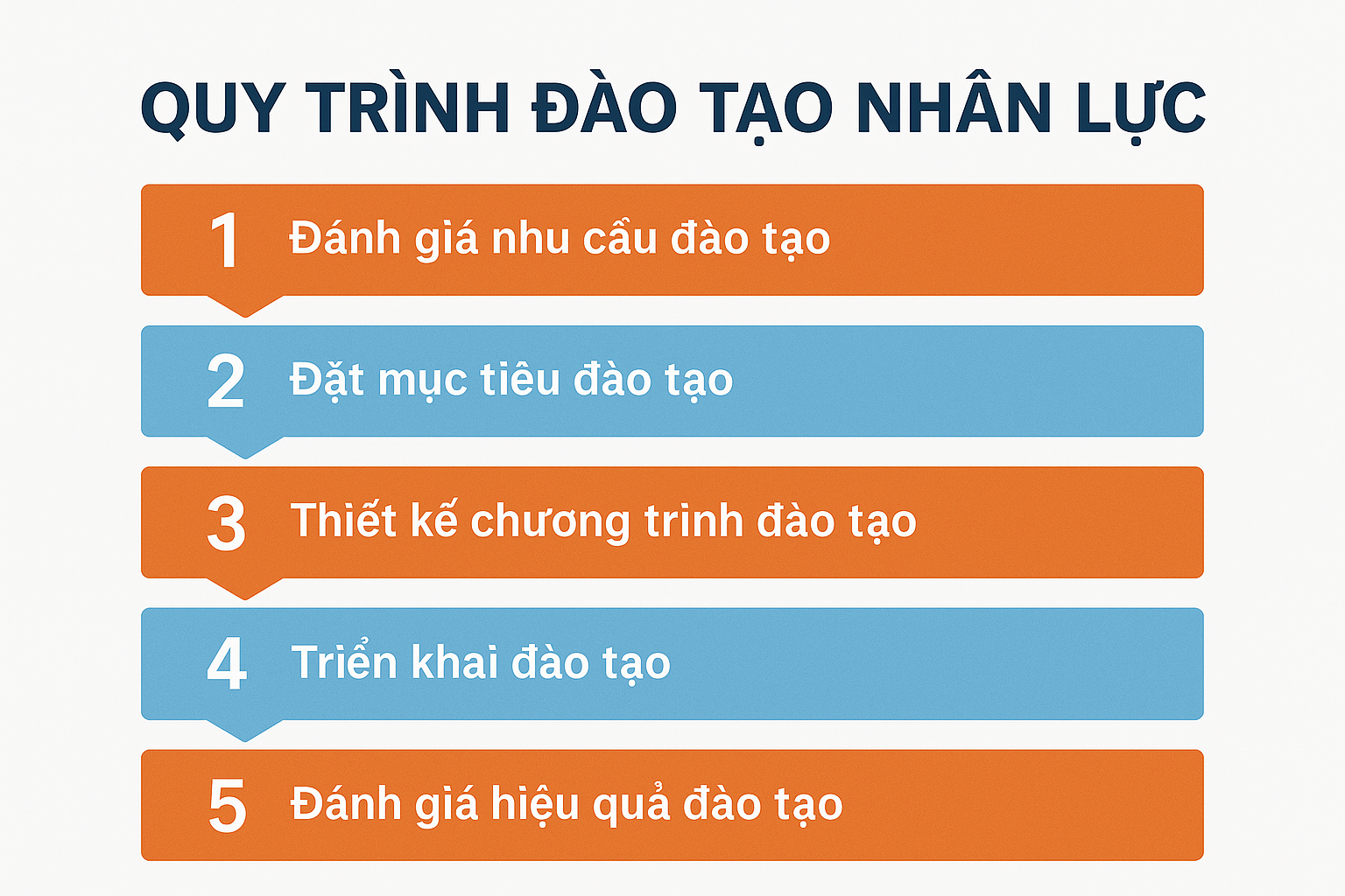 quy trình 5 bước đào tạo nhân lực