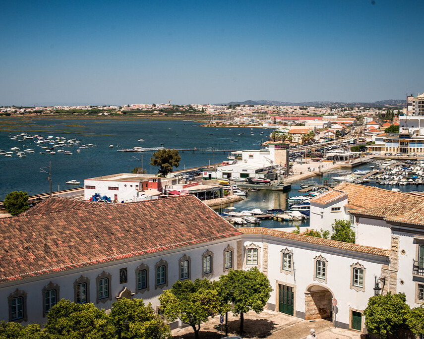 View of the coast with adjacent buildings.