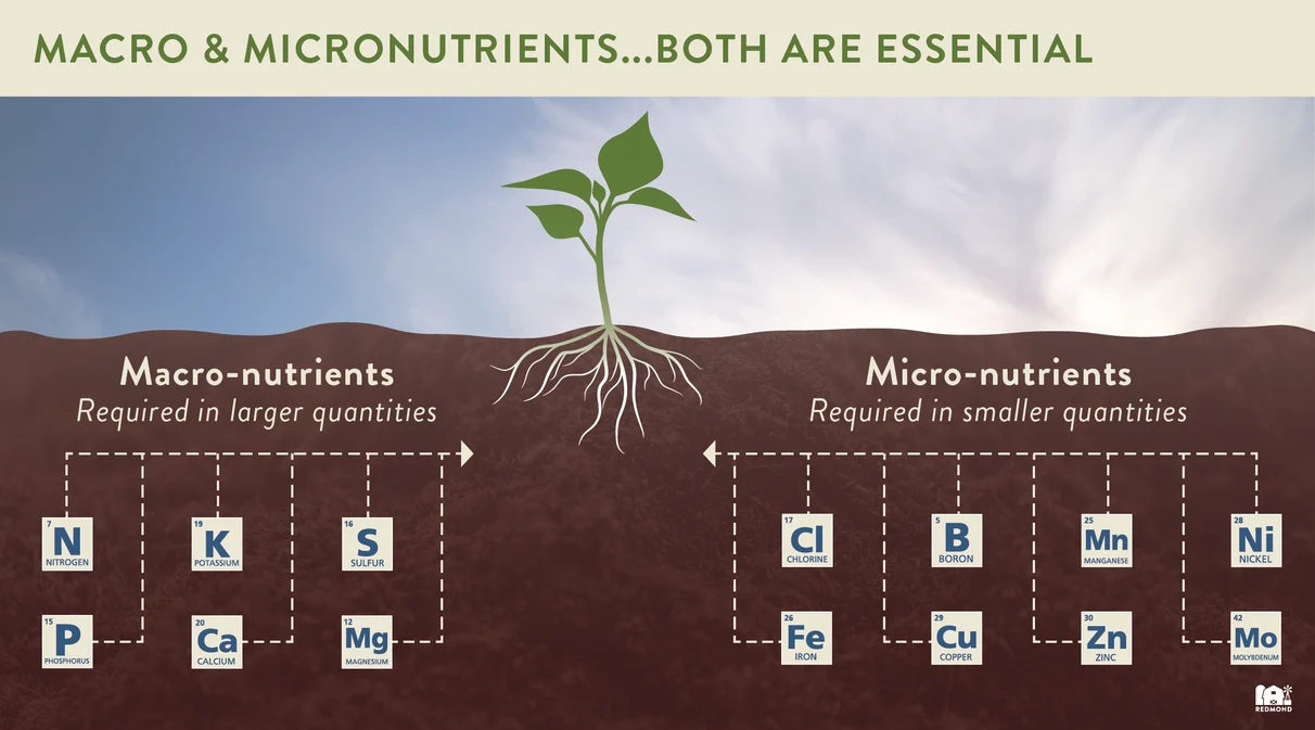 Types of Soil Nutrients