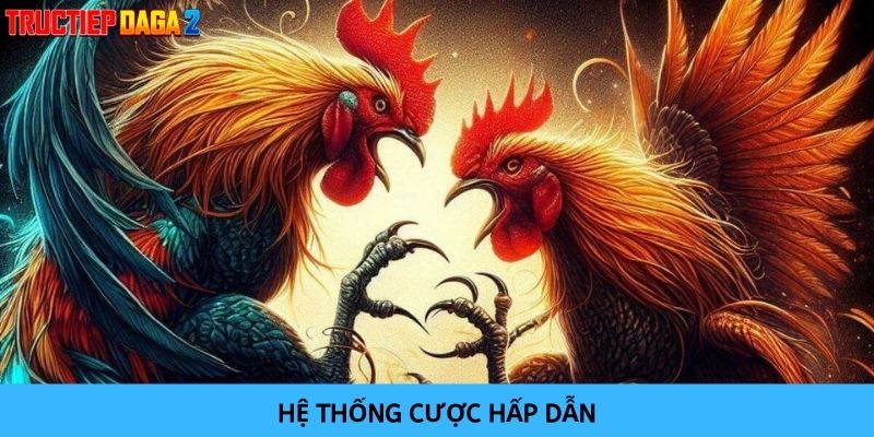 Có nhiều ưu điểm nổi bật giúp hình thức theo dõi đá gà trực tiếp được nhiều anh em yêu thích