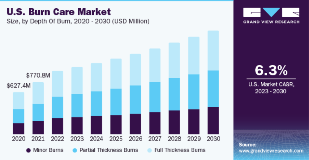 Burn Care Market