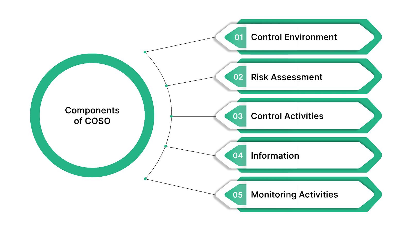 The Five Components of COSO 