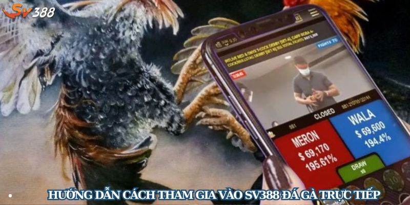 Hướng dẫn người chơi cách tham gia vào SV388 đá gà trực tiếp