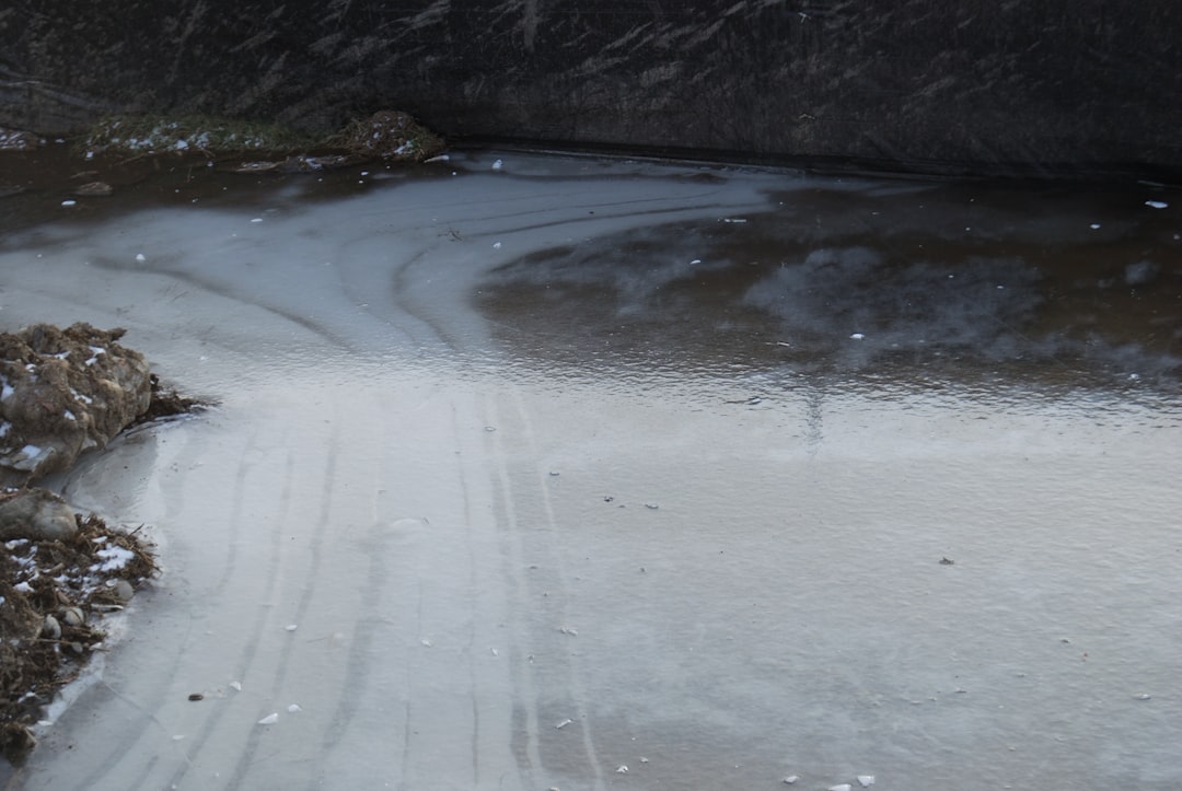 Asphalt driveway after sealcoating