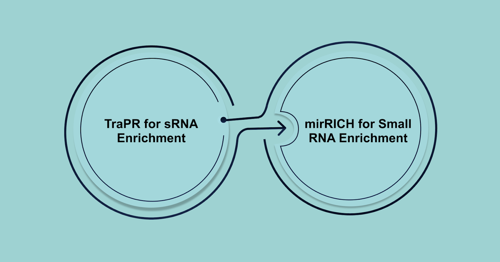 New Methods for Enhancing RNA Enrichment: Innovative Approaches to Improve RNA-Seq Sensitivity