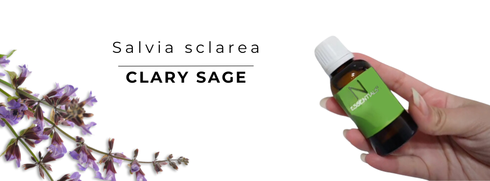 hand holding N-essential’s clary sage essential oils for skin amber bottle with depiction of the clary sage flower