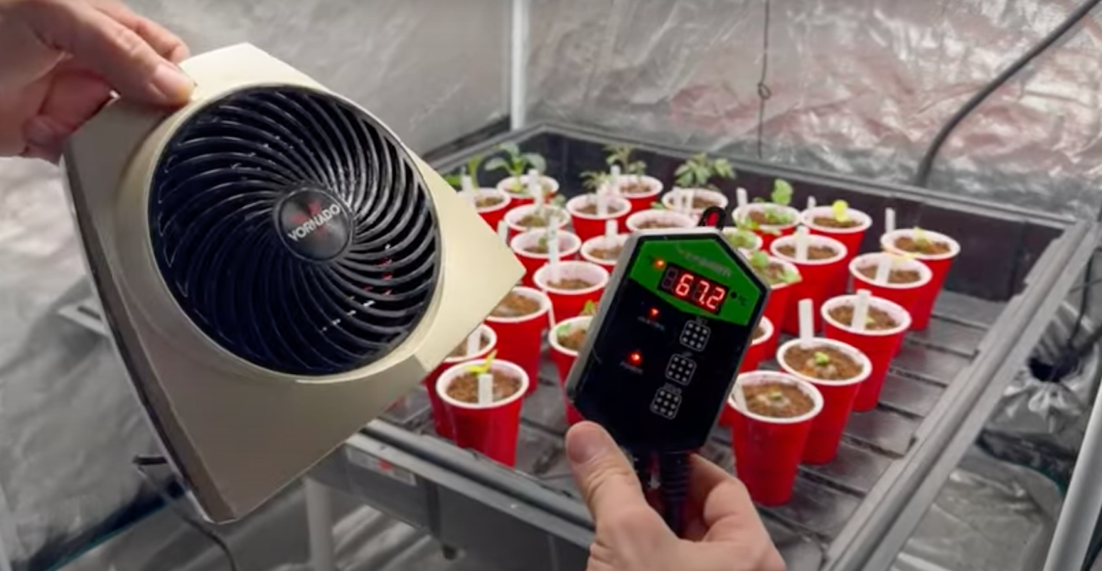 hydroponics vs soil vs soilless monitoring