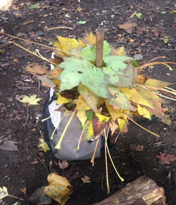 F:\Maria Data\ALL GREEN 2015\FS\FS ALEXANDRA\2014_FS WORKSHOPS_MS\PHOTOS PARENTS SHARING DROPBOX\Day 1 Forest School_Autumn 2015\Photo 27-10-2015, 12 22 00.jpg