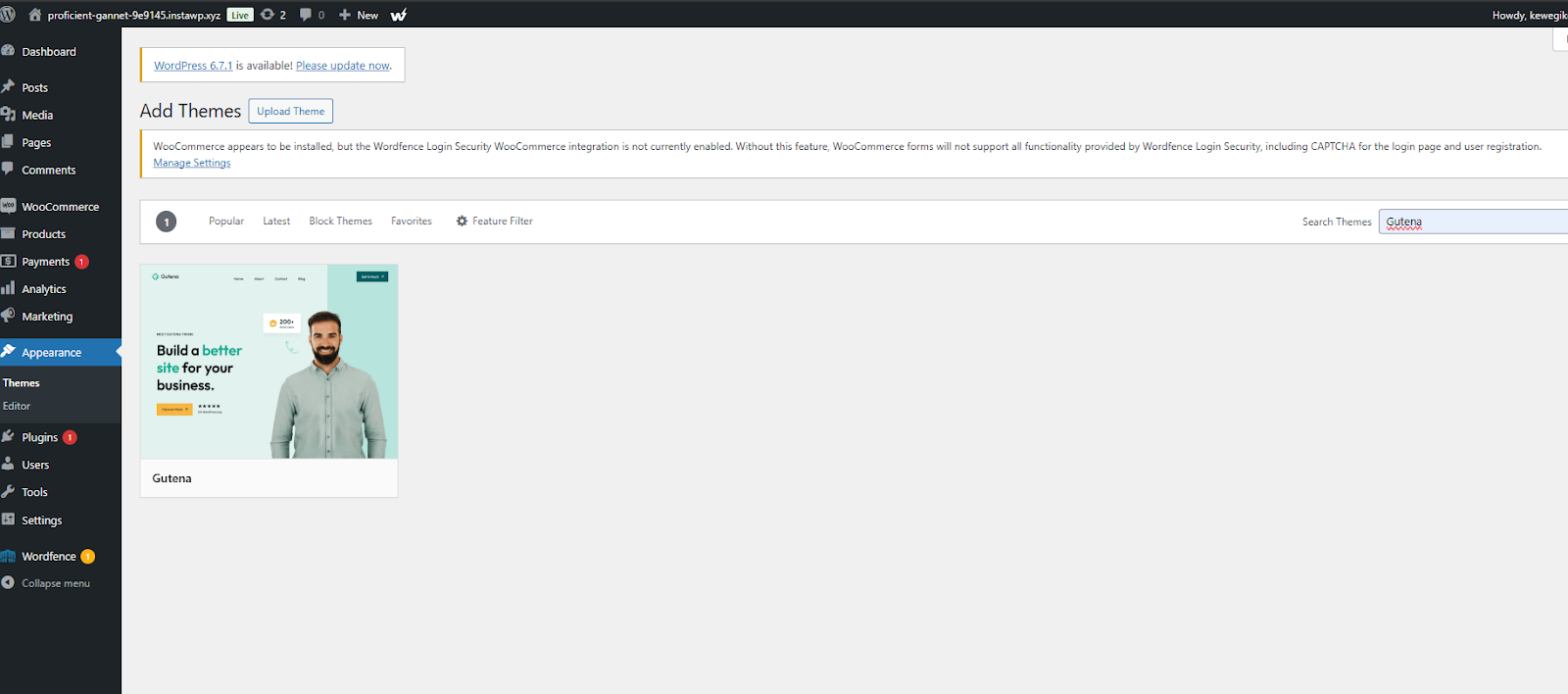 Install Gutena theme for your WooCommerce store 