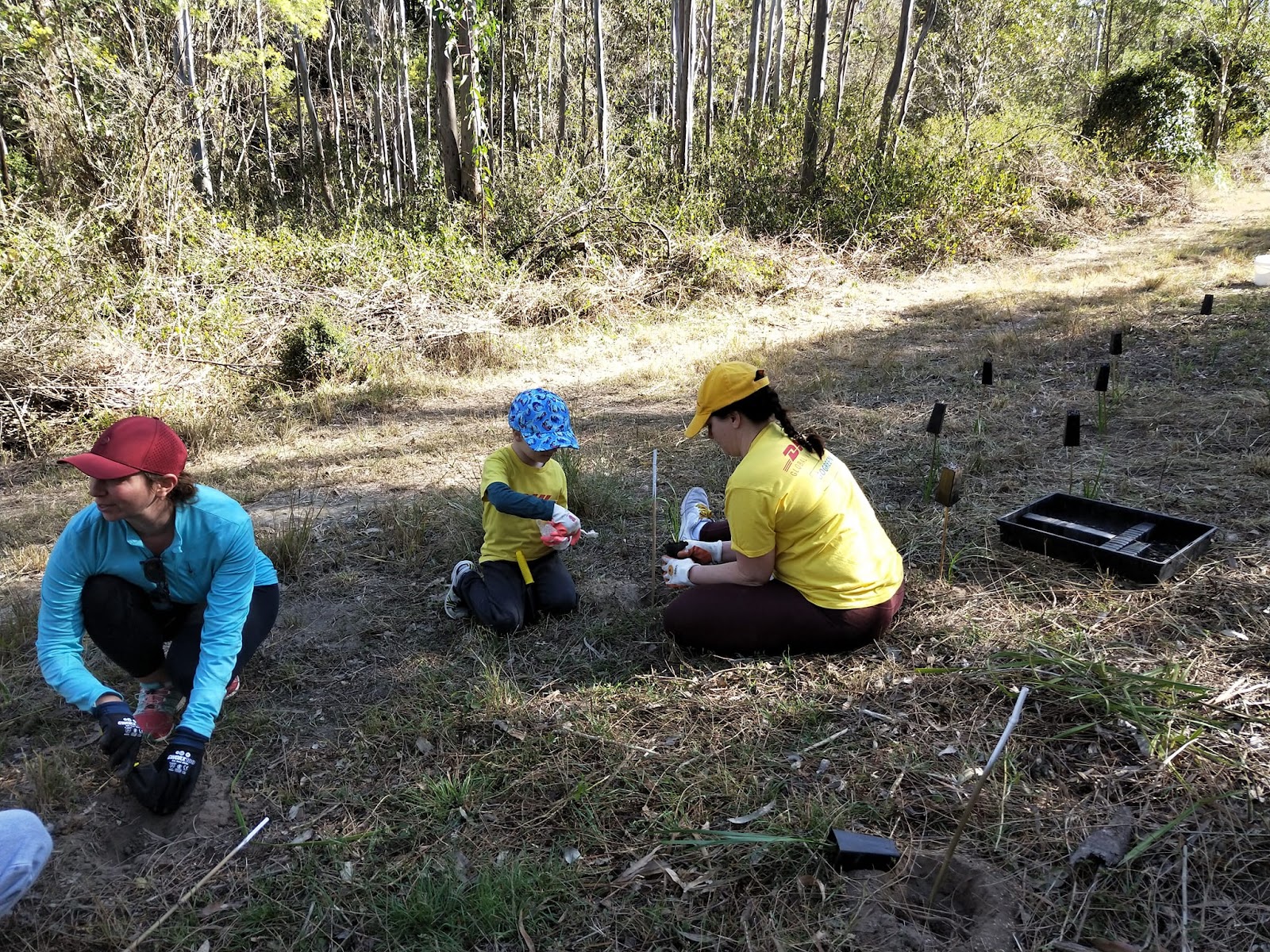 Opossum Creek