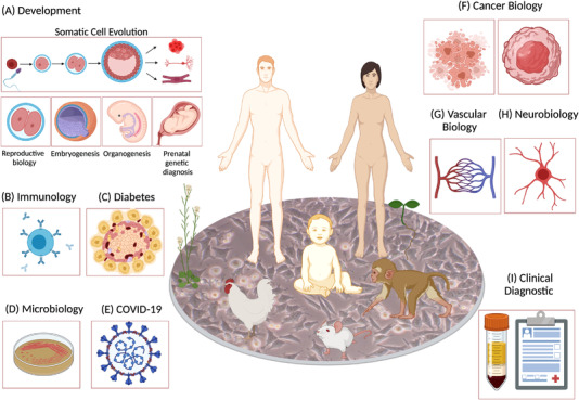 RNA Bioinformatic Challenges and Future Directions
