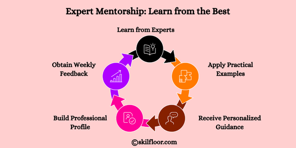 Expert Mentorship: Learn from the Best
