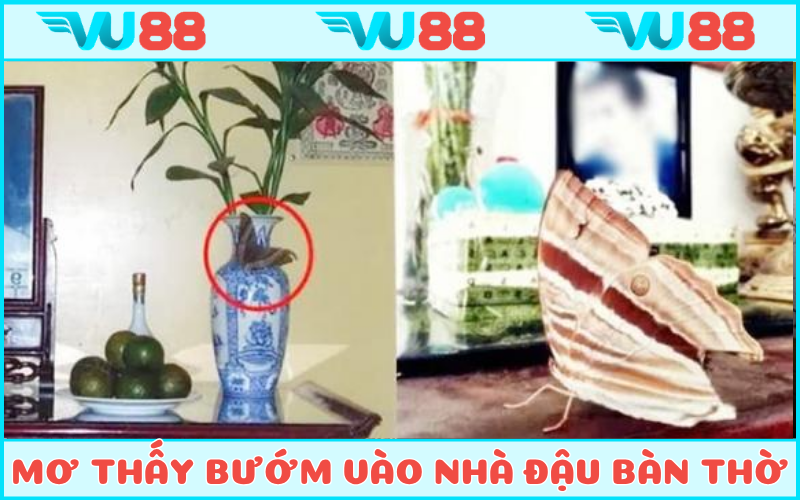 Chiêm bao thấy loại côn trùng đậu trên bàn thờ đại diện cho sự bảo vệ của tâm linh