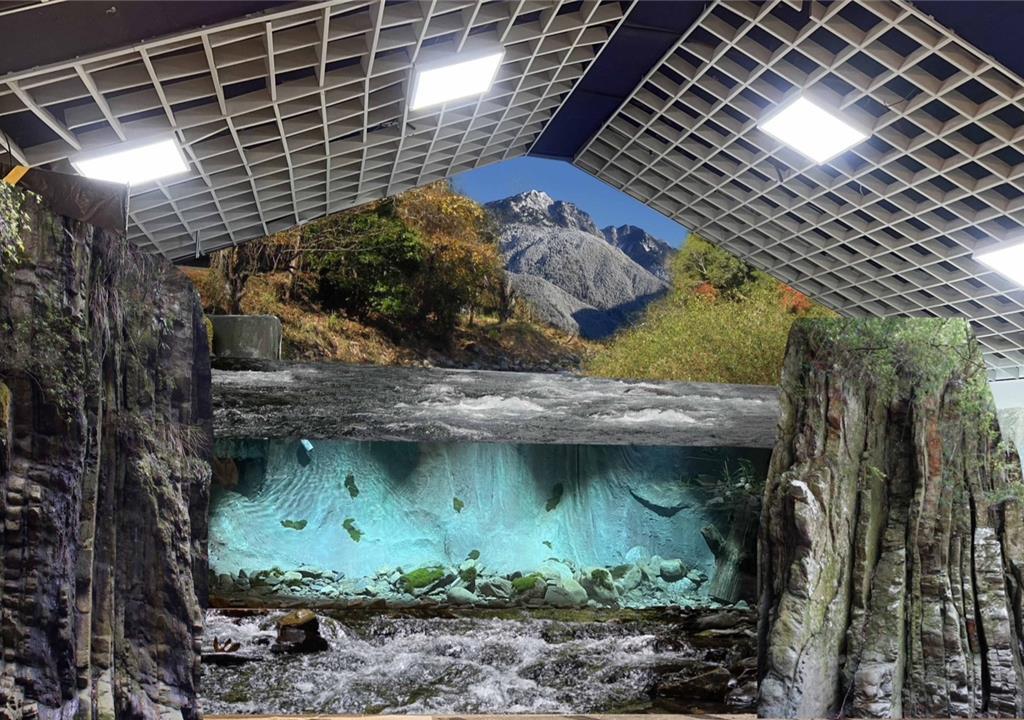 雪霸國家公園武陵櫻花鉤吻鮭生態中心展示館,已經整修完成,遊客可近距離欣賞國寶魚在水中悠游的樣態。(雪管處提供/謝明俊苗栗傳真)