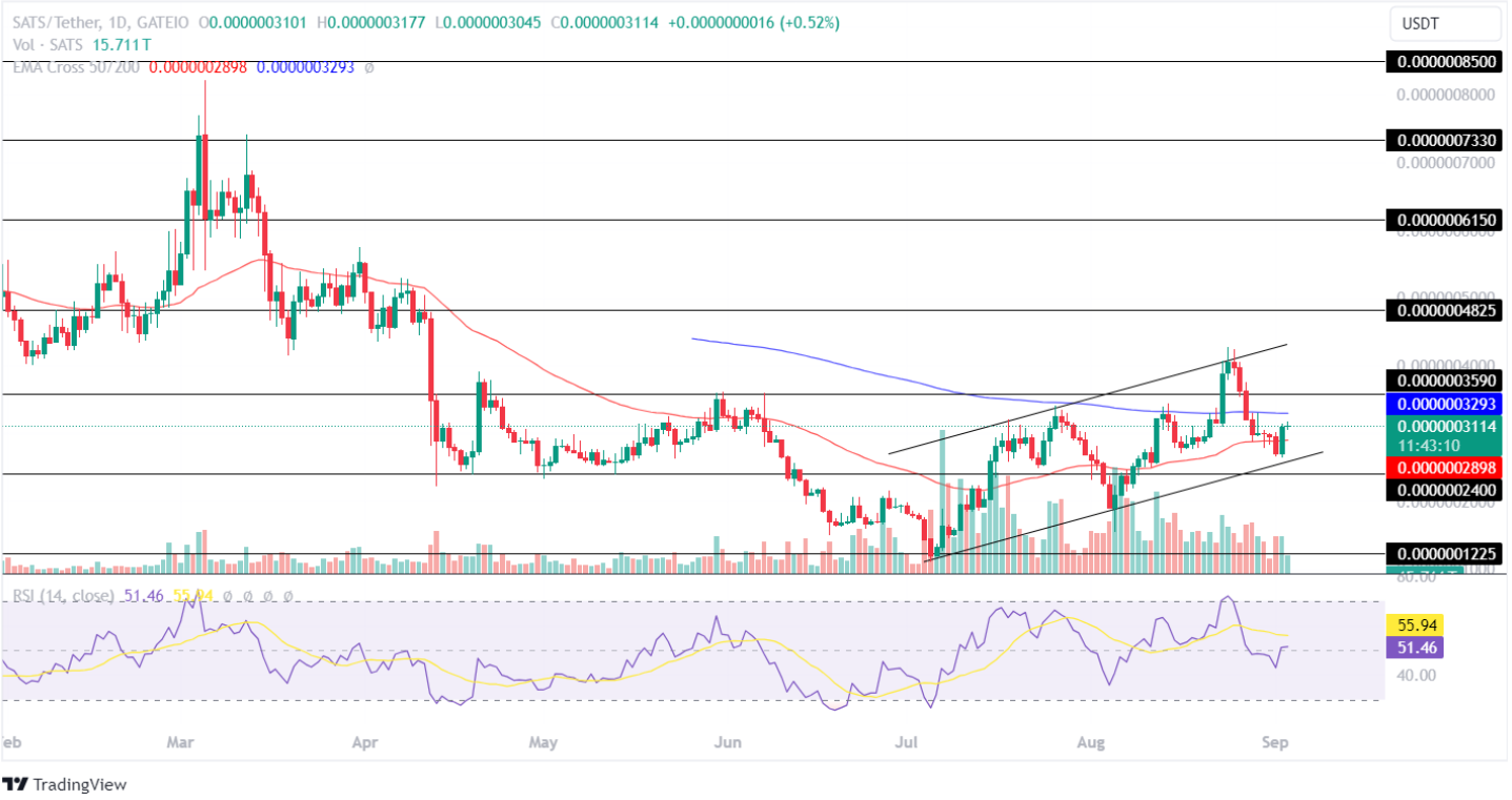 Với sự đảo chiều tăng giá, 2 token BRC-20 hàng đầu sẽ tăng 20% ​​trong tuần này?