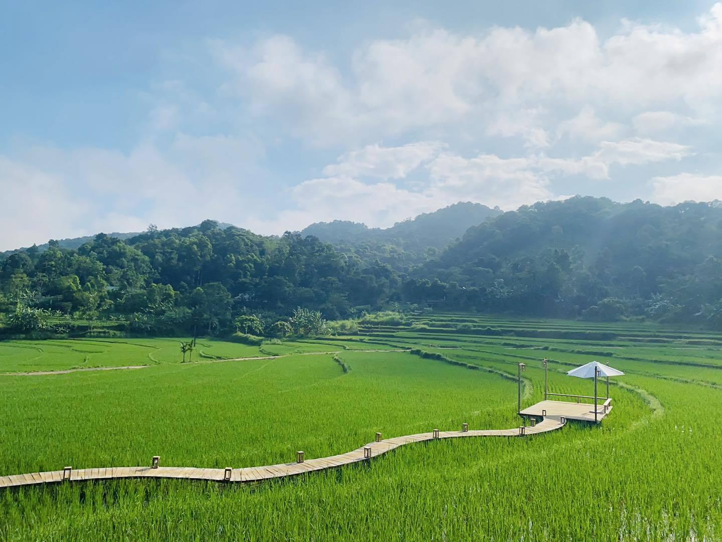 D:\1. Sở Văn hóa\Năm 2025\4. Bài đăng Website\Cổng DL thông minh tỉnh\489891319_1235269091936161_1497479416721231709_n.jpg