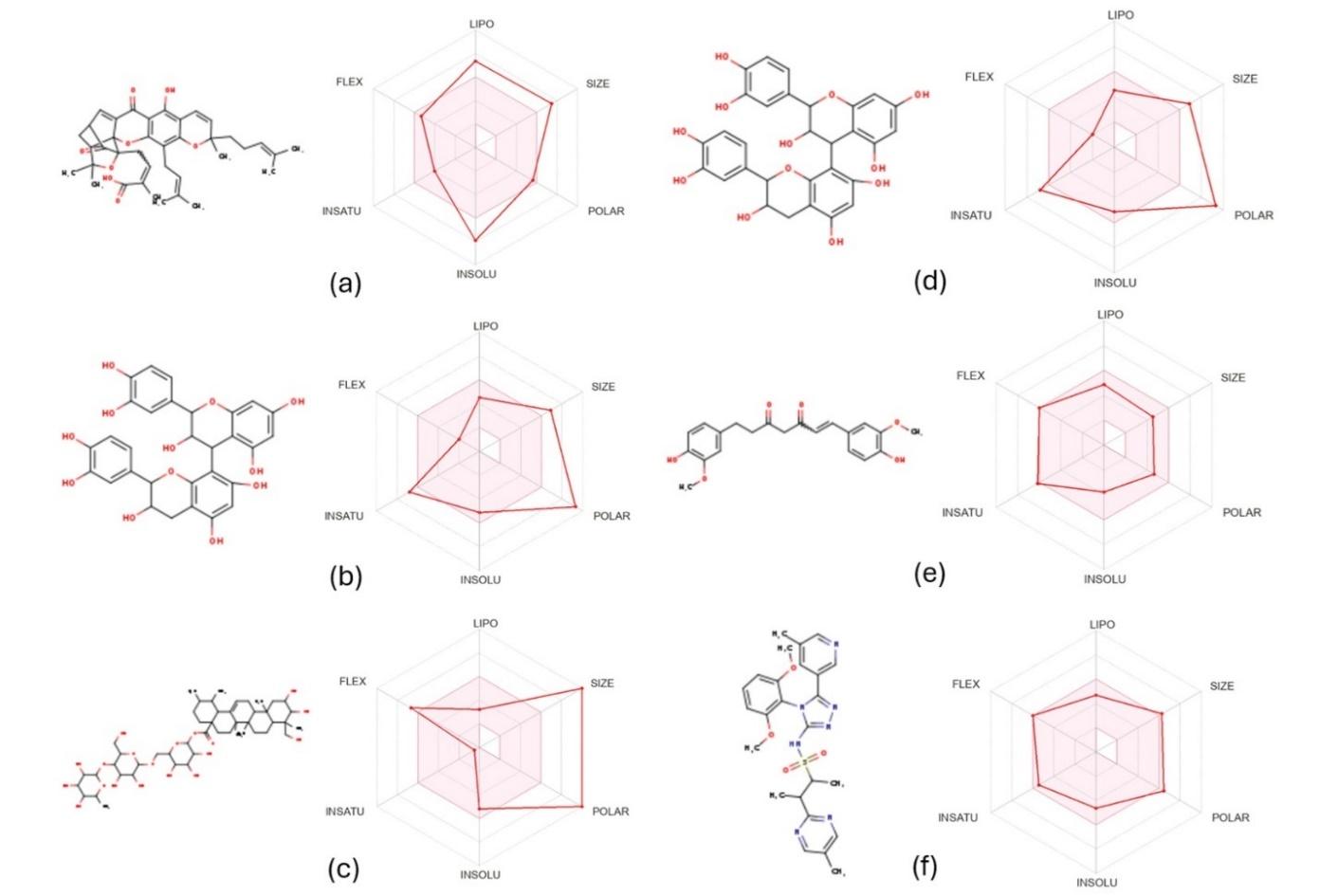 A collage of different shapes and colors

Description automatically generated with medium confidence