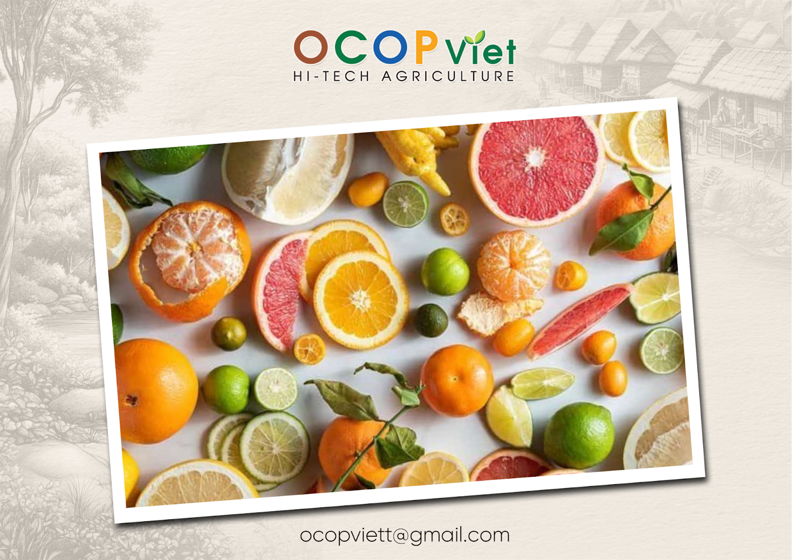 Những Loại Trái Cây Có Tính Axit Cao