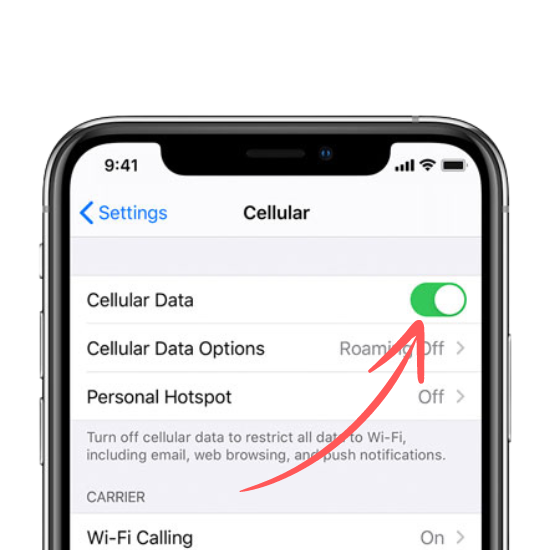 A smartphone screen displaying the ‘Cellular’ settings menu, highlighting features of a data network. The ‘Cellular Data’ option is toggled on, indicating active data services. Below are options for ‘Cellular Data Options’ and ‘Personal Hotspot’, both with further navigation arrows. The text below the toggle explains that turning off cellular data restricts all data to Wi-Fi, including email, web browsing, and push notifications. The carrier information is not visible, and Wi-Fi Calling is also available as an option.” 📱🌐